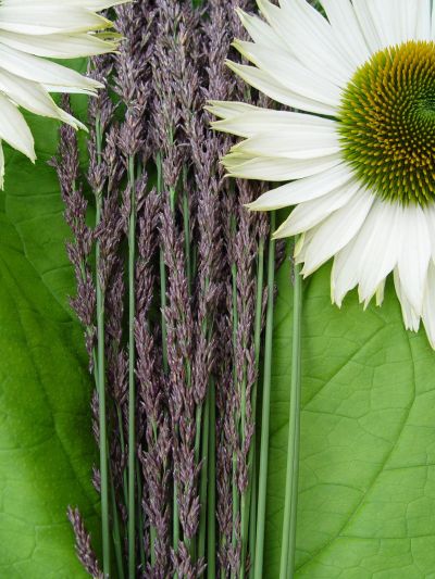 <small>cover catalogus 2012-2013</small>